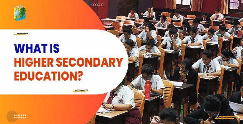 What Is Primary Secondary And Higher Education