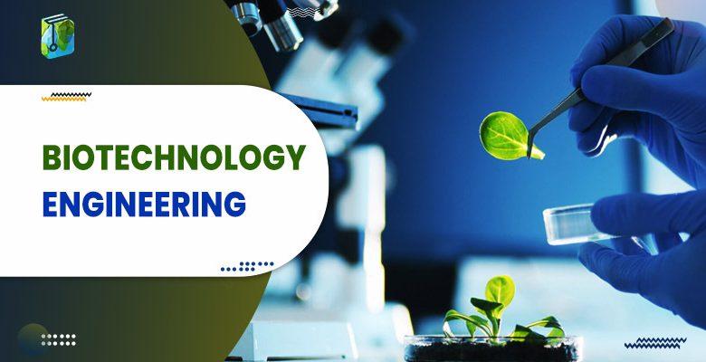 phd in biotechnology engineering