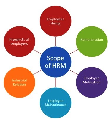 Scope for an HR Manager