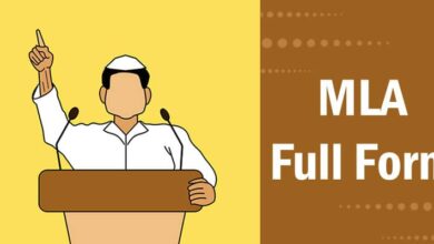 MLA Full Form