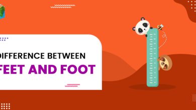 Difference between feet and foot