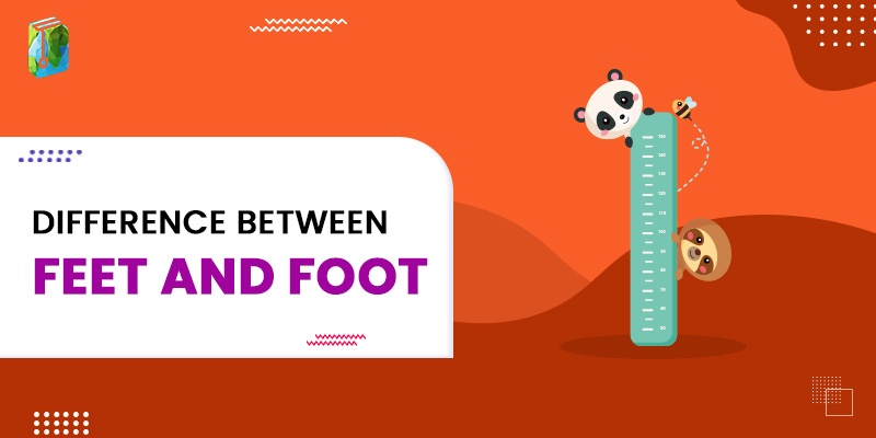 Difference Between Feet And Foot In Math