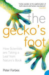 The Gecko’s Foot How Scientists are Taking a Leaf from Nature's Book