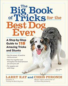 Big Book of Tricks for the Best Dog Ever A Step-By-Step Guide to 118 Amazing Tricks and Stunts