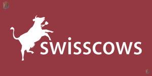 SwissCows