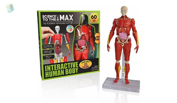 Be Amazing! Toys Interactive Human Body